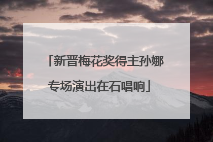 新晋梅花奖得主孙娜专场演出在石唱响