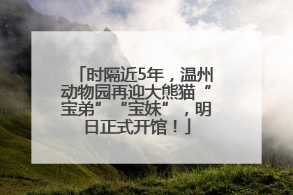 时隔近5年，温州动物园再迎大熊猫“宝弟”“宝妹”，明日正式开馆！