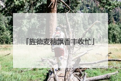 旌德麦穗飘香丰收忙