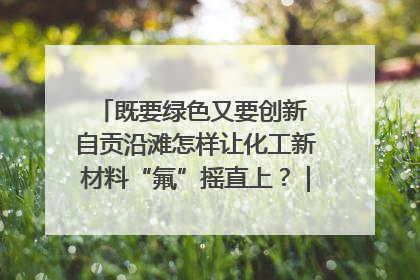 既要绿色又要创新 自贡沿滩怎样让化工新材料“氟”摇直上？｜美好生活有“盐”味