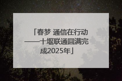 春梦 通信在行动——十堰联通圆满完成2025年