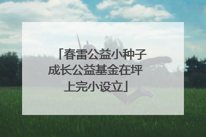 春雷公益小种子成长公益基金在坪上完小设立