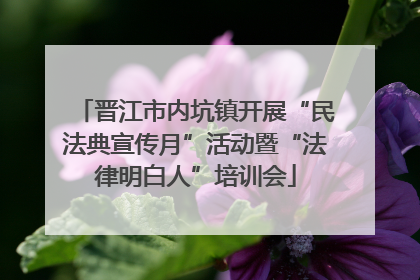 晋江市内坑镇开展“民法典宣传月”活动暨“法律明白人”培训会