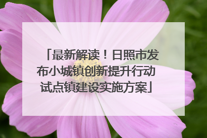 最新解读！日照市发布小城镇创新提升行动试点镇建设实施方案