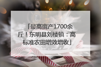 最高亩产1700余斤！东明县刘楼镇：高标准农田增效增收