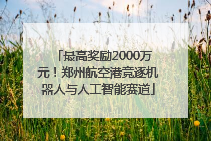 最高奖励2000万元！郑州航空港竞逐机器人与人工智能赛道