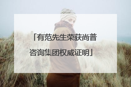 有范先生荣获尚普咨询集团权威证明