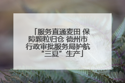 服务直通麦田 保障颗粒归仓 德州市行政审批服务局护航“三夏”生产