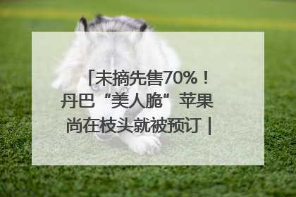 未摘先售70%！丹巴“美人脆”苹果尚在枝头就被预订｜长征路上看四川