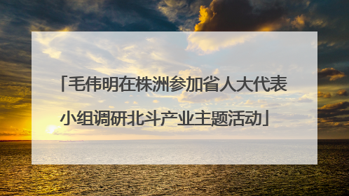 毛伟明在株洲参加省人大代表小组调研北斗产业主题活动