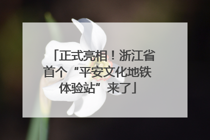 正式亮相！浙江省首个“平安文化地铁体验站”来了