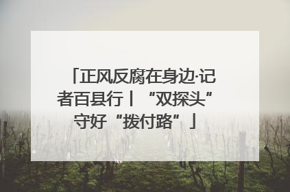 正风反腐在身边·记者百县行丨“双探头”守好“拨付路”