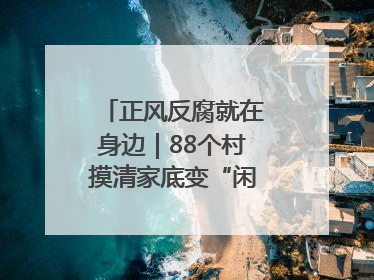 正风反腐就在身边｜88个村摸清家底变“闲”为“宝”