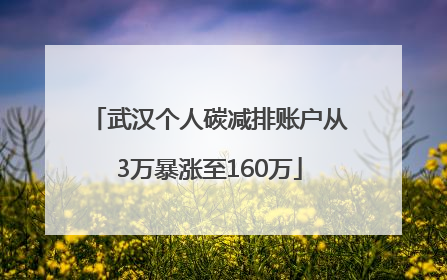 武汉个人碳减排账户从3万暴涨至160万