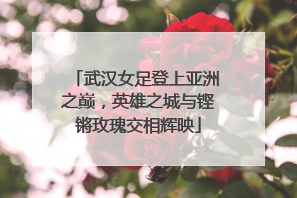 武汉女足登上亚洲之巅，英雄之城与铿锵玫瑰交相辉映