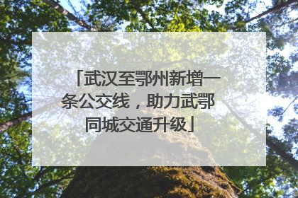 武汉至鄂州新增一条公交线，助力武鄂同城交通升级
