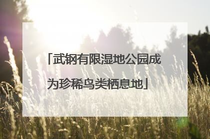 武钢有限湿地公园成为珍稀鸟类栖息地