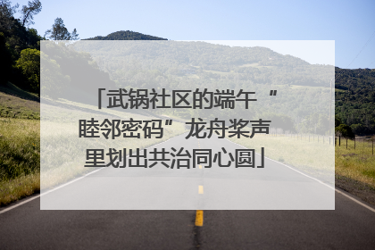 武锅社区的端午“睦邻密码”龙舟桨声里划出共治同心圆