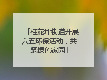 桂花坪街道开展六五环保活动，共筑绿色家园
