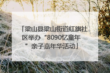 梁山县梁山街道红旗社区举办“8090忆童年”亲子嘉年华活动