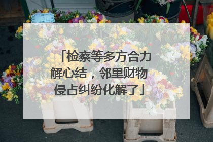 检察等多方合力解心结，邻里财物侵占纠纷化解了