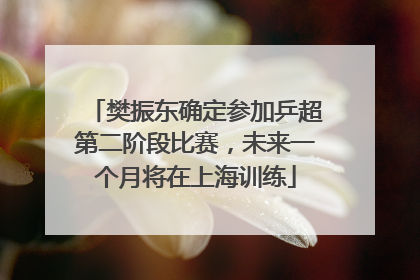 樊振东确定参加乒超第二阶段比赛，未来一个月将在上海训练