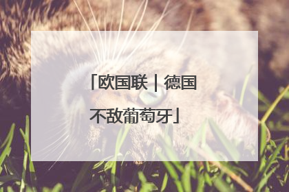 欧国联｜德国不敌葡萄牙