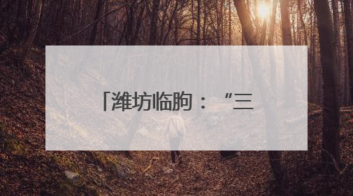 潍坊临朐：“三个导向”引领财会监督走深走实