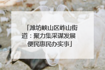 潍坊峡山区岞山街道：聚力集采谋发展 便民惠民办实事