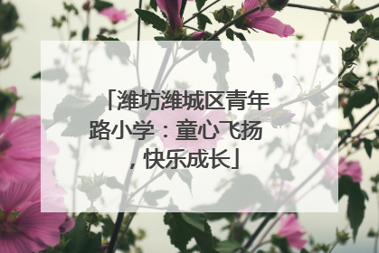 潍坊潍城区青年路小学：童心飞扬，快乐成长