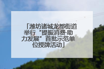 潍坊诸城龙都街道举行“提振消费·助力发展”首批示范单位授牌活动