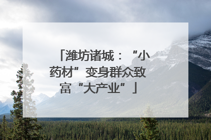 潍坊诸城：“小药材”变身群众致富“大产业”