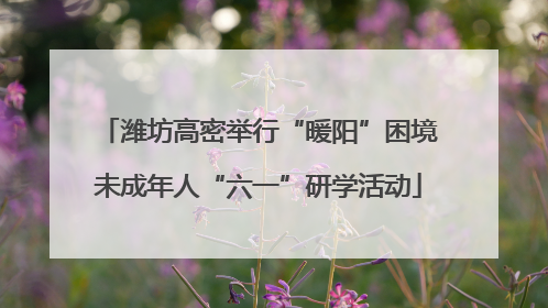 潍坊高密举行“暖阳”困境未成年人“六一”研学活动