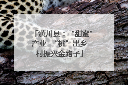 潢川县：“甜蜜”产业  “桃”出乡村振兴金路子