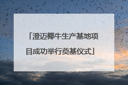 澄迈椰牛生产基地项目成功举行奠基仪式