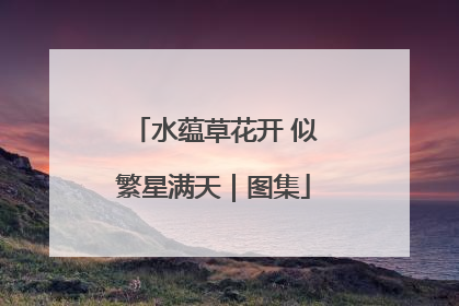 水蕴草花开 似繁星满天｜图集