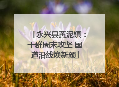 永兴县黄泥镇：干群周末攻坚 国道沿线焕新颜