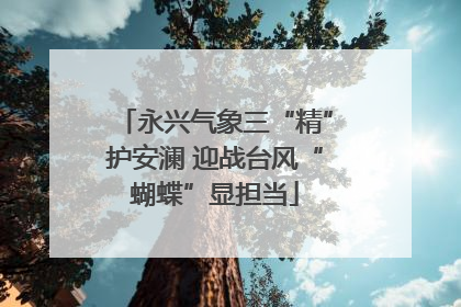 永兴气象三“精”护安澜 迎战台风“蝴蝶”显担当