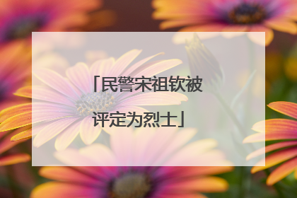 民警宋祖钦被评定为烈士