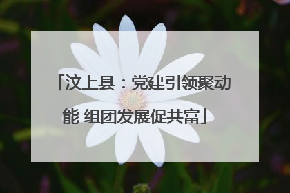 汶上县：党建引领聚动能 组团发展促共富