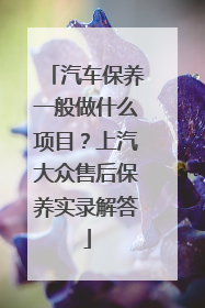 汽车保养一般做什么项目？上汽大众售后保养实录解答