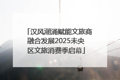 汉风潮涌赋能文旅商融合发展2025未央区文旅消费季启幕