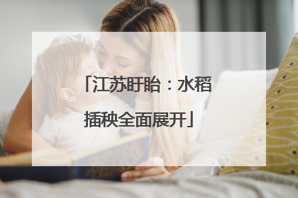 江苏盱眙：水稻插秧全面展开