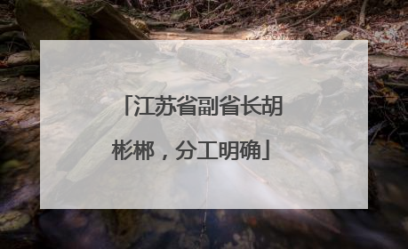 江苏省副省长胡彬郴，分工明确
