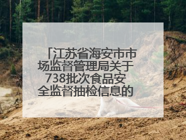 江苏省海安市市场监督管理局关于738批次食品安全监督抽检信息的通告（2025年第4期）