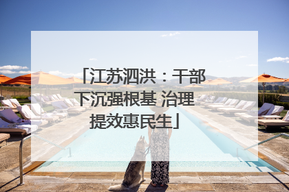 江苏泗洪：干部下沉强根基 治理提效惠民生