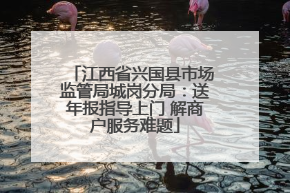 江西省兴国县市场监管局城岗分局：送年报指导上门 解商户服务难题