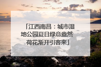 江西南昌：城市湿地公园夏日绿意盎然 荷花渐开引客来