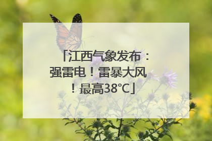 江西气象发布：强雷电！雷暴大风！最高38℃