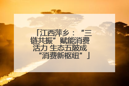 江西萍乡：“三链共振”赋能消费活力 生态五陂成“消费新枢纽”